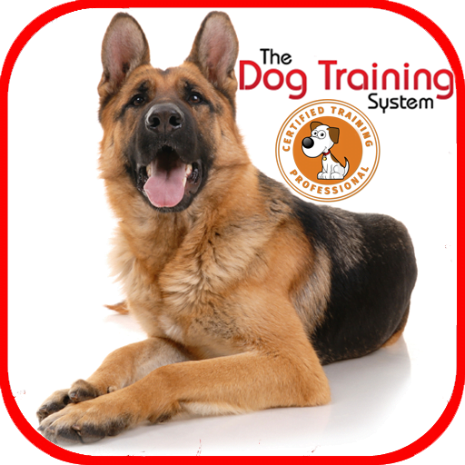8 Best Dog Training Apps for Android in 2022