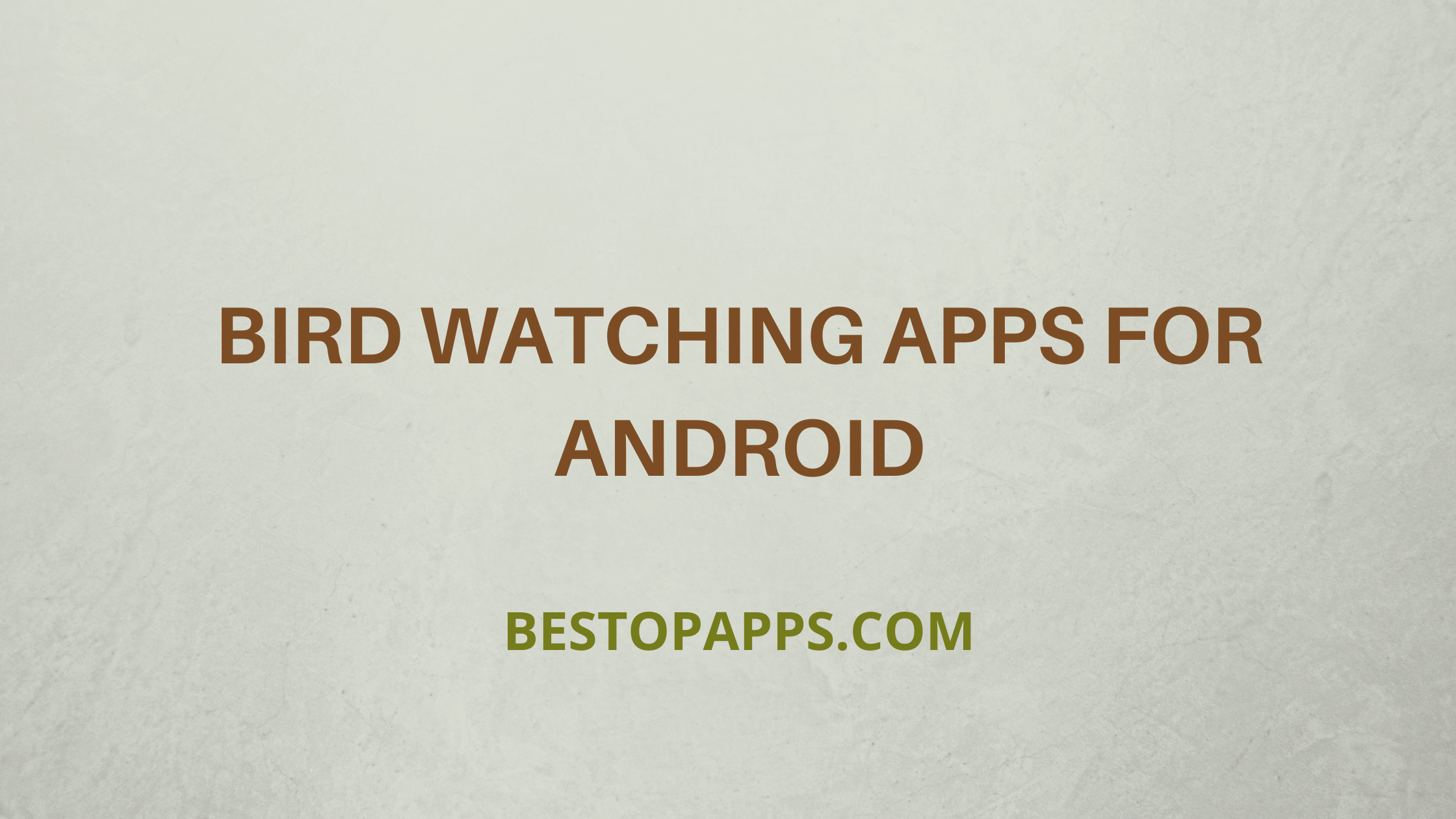 Bird Watching Apps for Android
