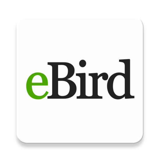 5 Best Bird Watching Apps for Android in 2022